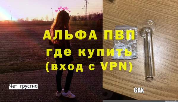 PSILOCYBIN Майский