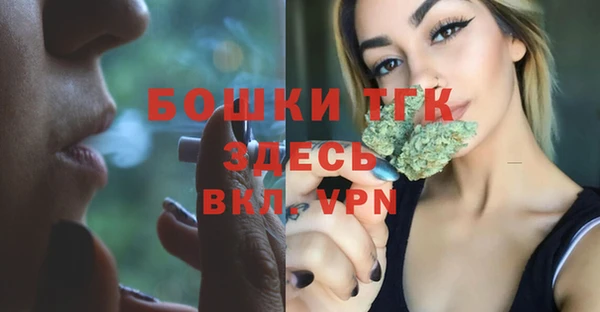 индика Магадан