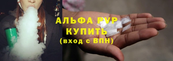 PSILOCYBIN Майский