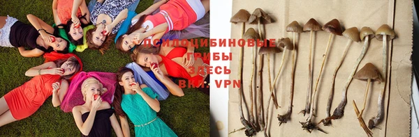 первитин Лихославль