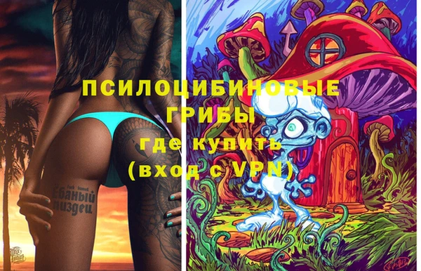 PSILOCYBIN Майский