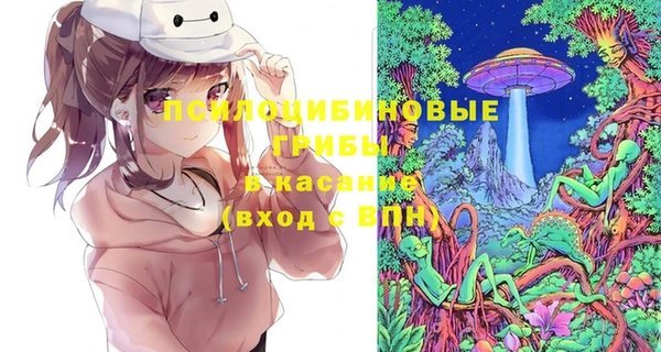 индика Магадан
