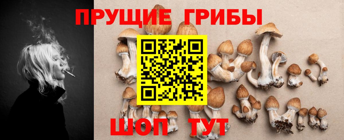 Псилоцибиновые грибы Cubensis Астрахань