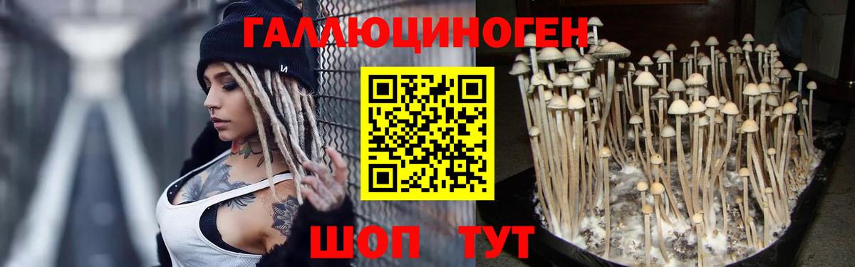Каннабис  ГАШ  Кокаин  Астрахань  LSD-25  COCAIN  Вход с VPN  МЕФ   Кодеин  НБОМе 